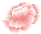 20251110162628_7995 20251110162628_7995