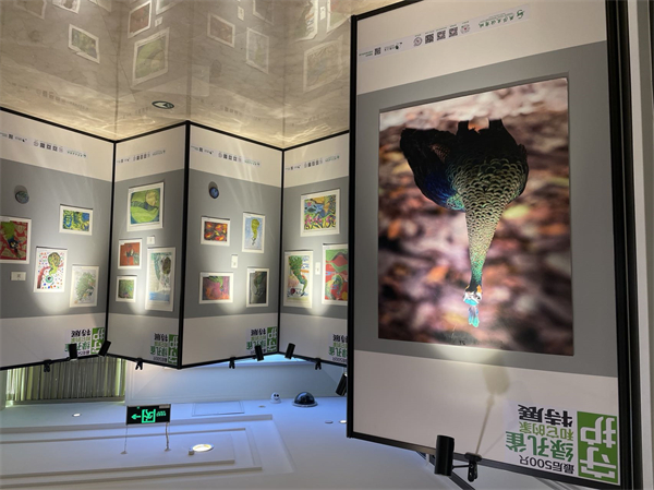 EWC�羺���籭(�й���)���޹�˾-�ٷ���վ